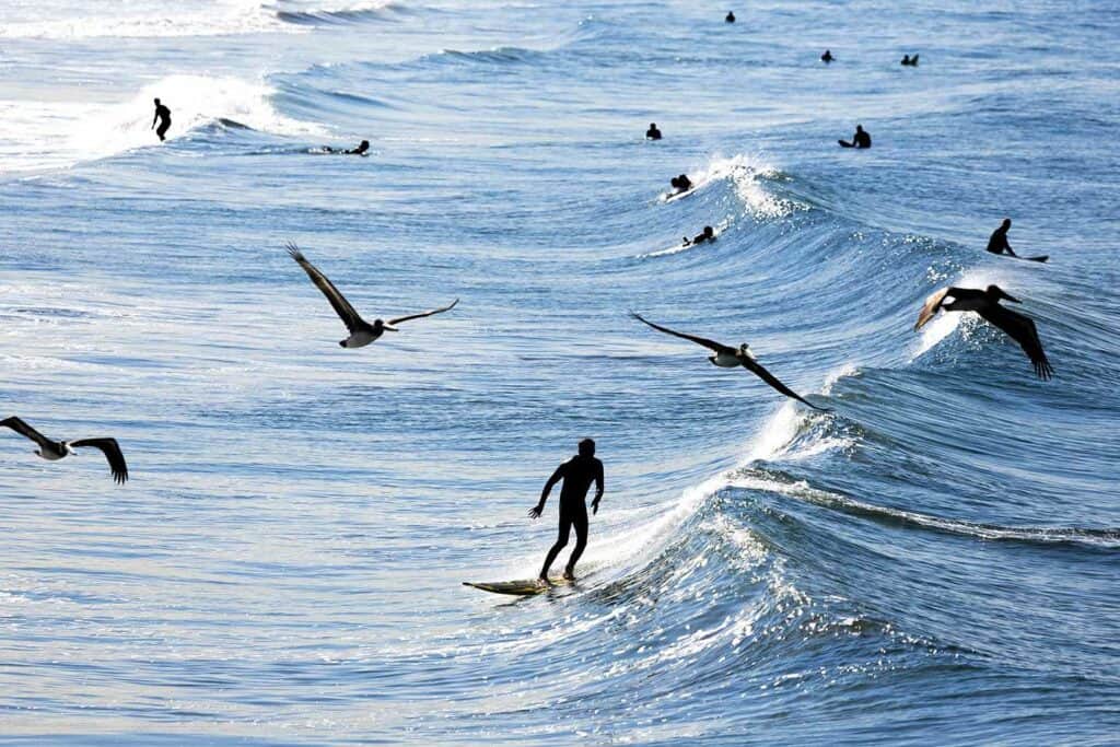 Cours de surf Santa Monica