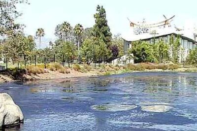 La Brea Tar Pits