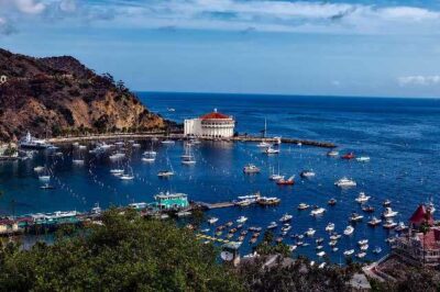 Catalina Island Californie