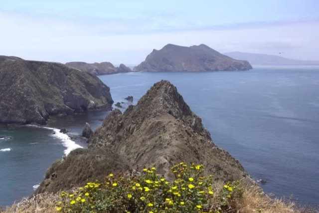 Channel Islands National Park