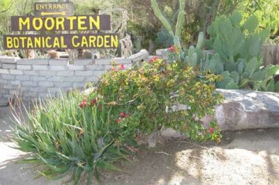 Moorten Botanical Garden