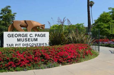 La Brea Tar Pits : le musée George C. Page