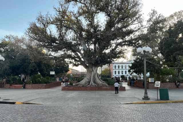 Plaza Park Los Angeles